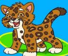 Bebek Jaguar, küçük jaguar Diego en iyi arkadaşım